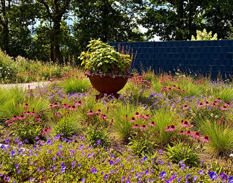 Staudenbeet mit Sonnenhut, Gräsern und einem Terrakotta-Kübel